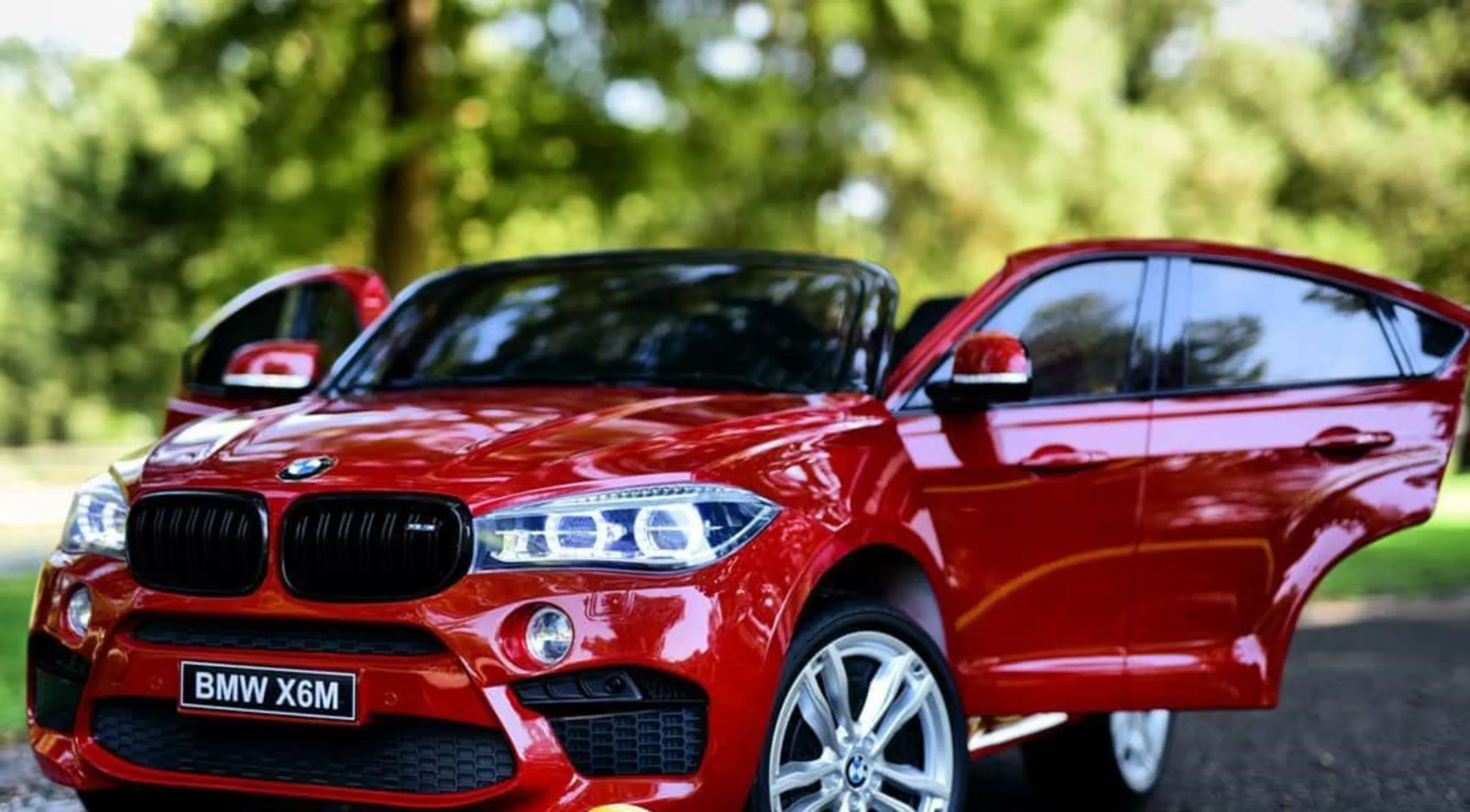 BMW X6M BMW X6M